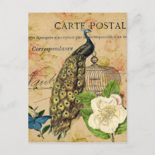 Cartão Postal camellia botânica francesa birdcage vintage pacioc