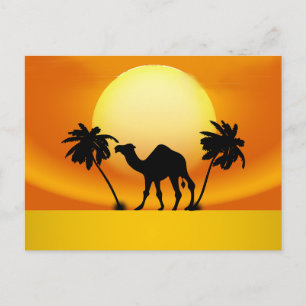 Cartão Postal Camelo ao pôr do sol