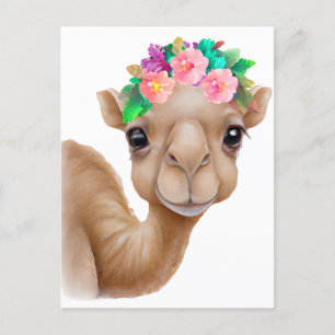 Cartão Postal Camelo bebê adorável