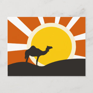 Cartão Postal Camelo com Sunset