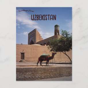 Cartão Postal Camelo em Khiva Uzbequistão