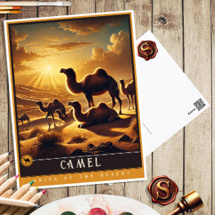 Cartão Postal Camelo   Família Fofa Postcard Antigo de Animal Vi
