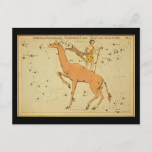 Cartão Postal Camelopardalis, Tarandus e Messium Aduaneiro