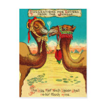Camelos apaixonados, engraçado St. Valentines vint