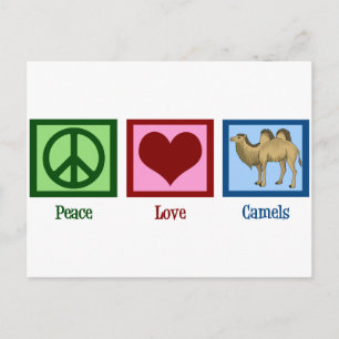 Cartão Postal Camelos de paz e amor