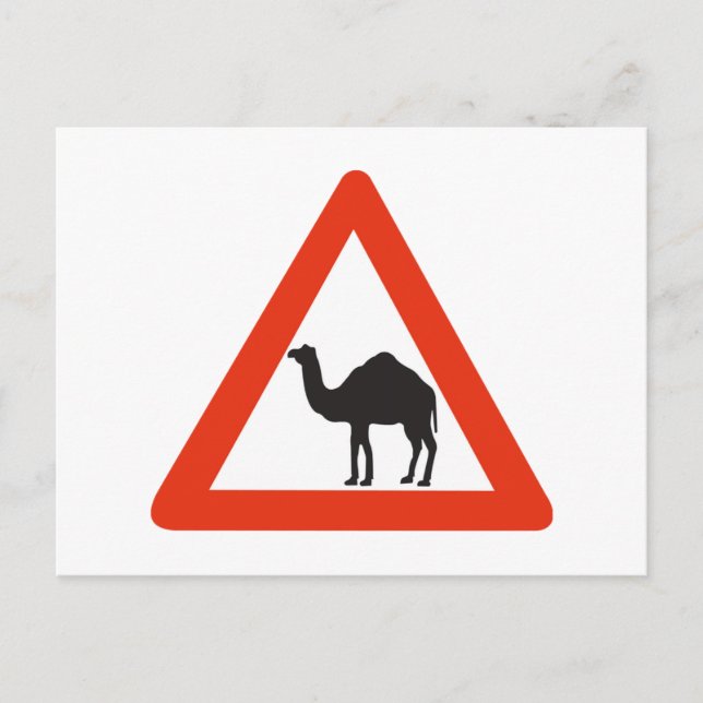 Cartão Postal Camelos de precaução, Sinal de tráfego, Emirado Ár (Frente)