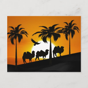 Cartão Postal Camelos do Deserto ao pôr do sol