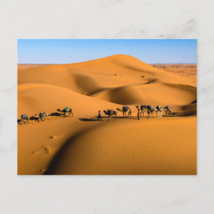 Cartão Postal camelos no deserto sob céu azul