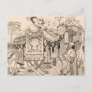 Cartão Postal Camelos Que Andam Vestidos Em Costume