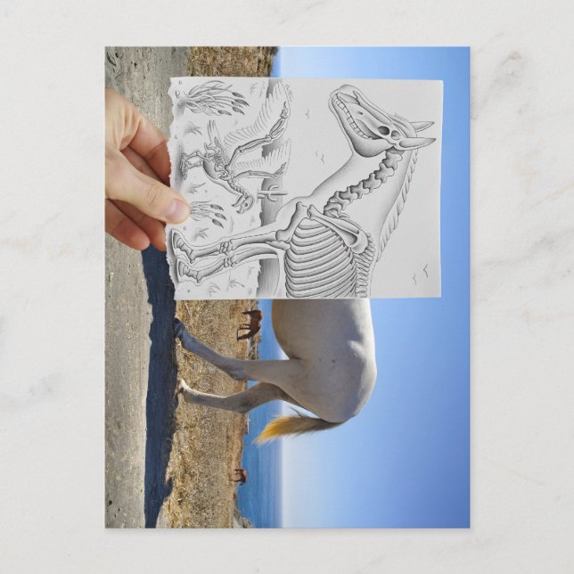 Cartão Postal Câmera De Lápis - Raio-X (Frente)