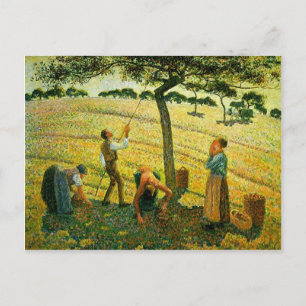 Cartão Postal Camille Pissarro - Apple Picting at Eragny-sur-Ept