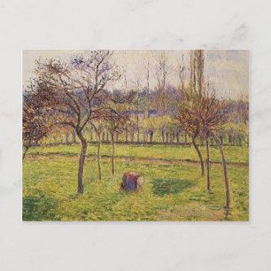 Cartão Postal Camille Pissarro - Árvores de Maçã em um Campo