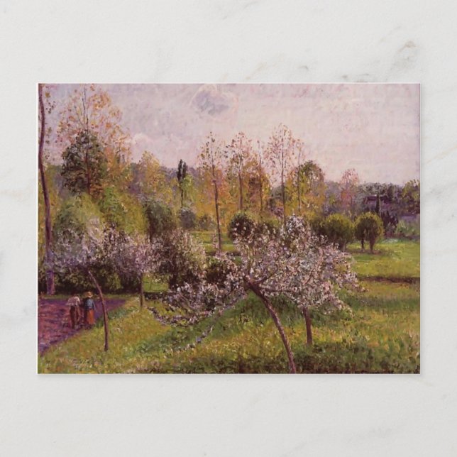 Cartão Postal Camille Pissarro - Árvores de Maçã Flores, Eragny (Frente)