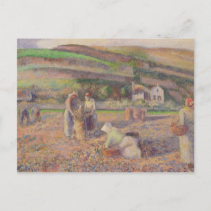 Cartão Postal Camille Pissarro Colheita De Batata