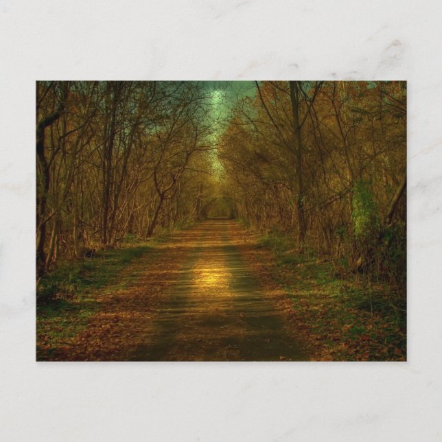 Cartão Postal caminhada ao luar pelas trilhas da cidade de Lynch (Frente)