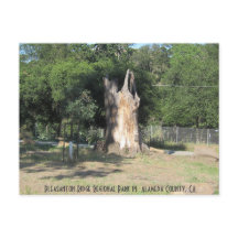 Caminhada em Pleasanton, CA 6