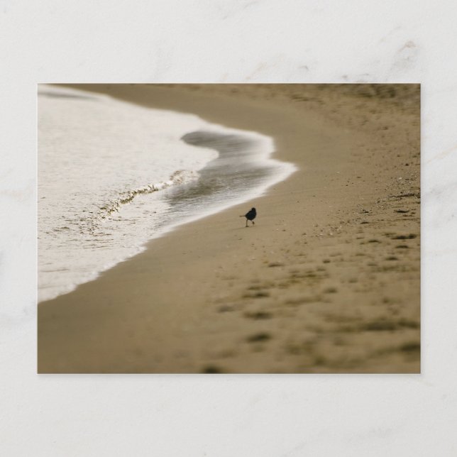 Cartão Postal Caminhando (Frente)