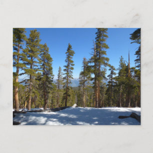 Cartão Postal Caminhando do Pico Mitchell em Sequoia