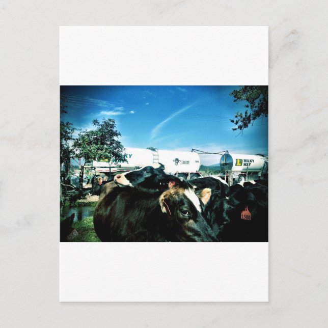 Cartão Postal caminhão de leite (Frente)