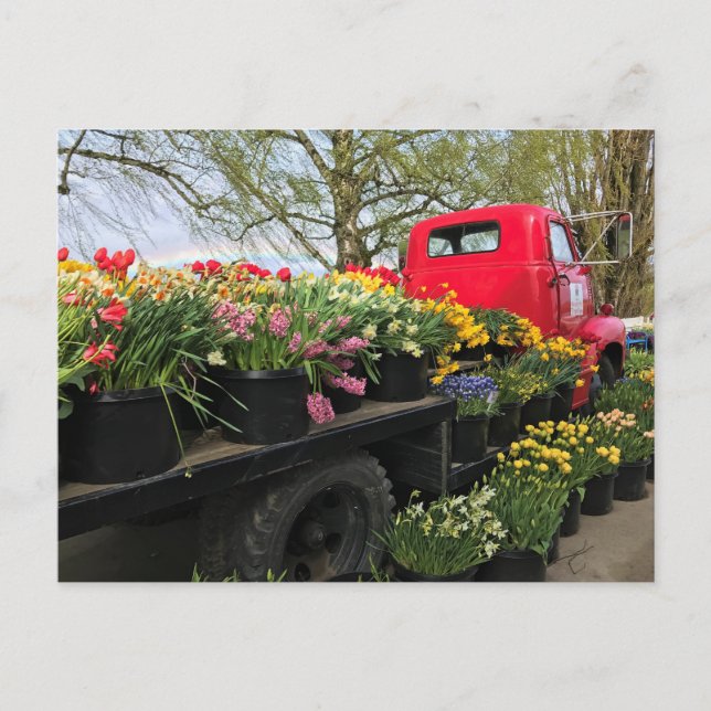 Cartão Postal Caminhão Vermelho com Flores de Primavera & Arco-í (Frente)