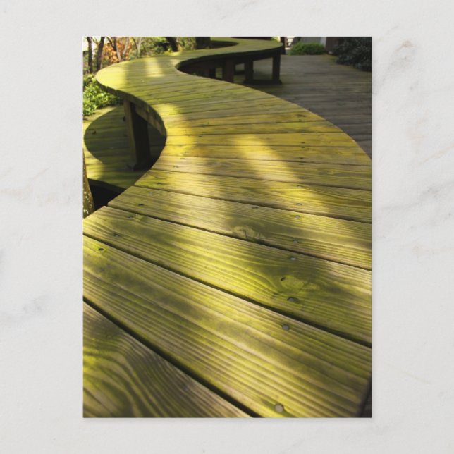 Cartão Postal Caminhar (Frente)