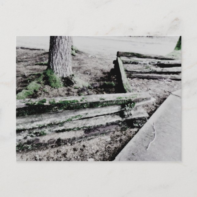 Cartão Postal caminho (Frente)