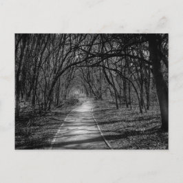 Cartão Postal Caminho