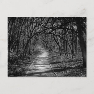 Cartão Postal Caminho