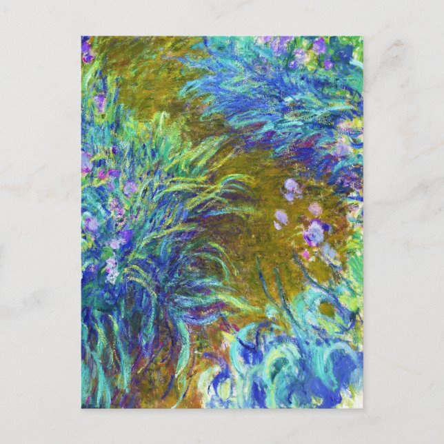 Cartão Postal Caminho através dos Íris Claude Monet (Frente)