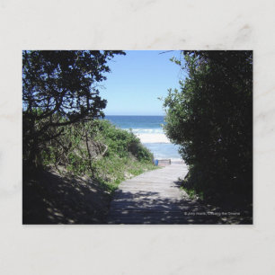 Cartão Postal Caminho Cruzado