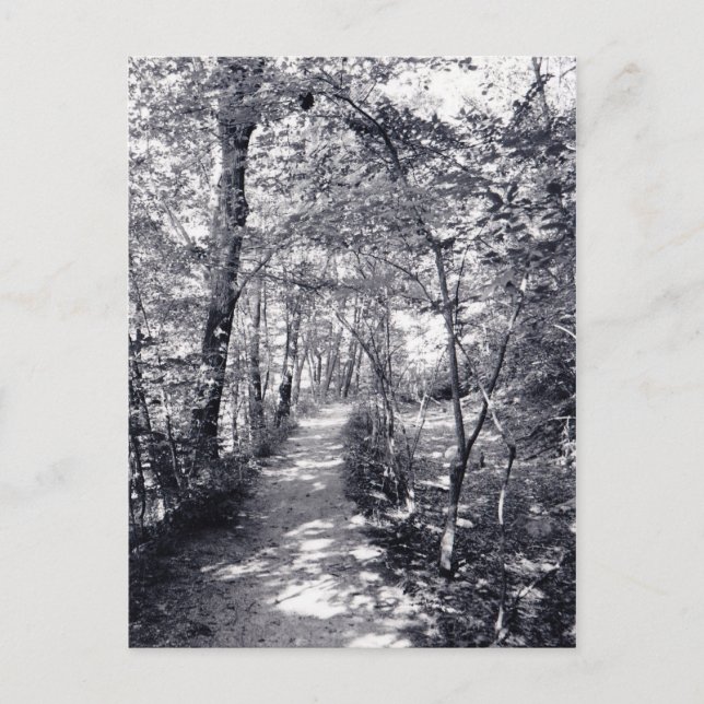 Cartão Postal Caminho da Fé (Frente)