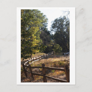 Cartão Postal Caminho da Floresta