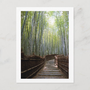 Cartão Postal Caminho da Floresta de Bambu: Sagano, Kyoto