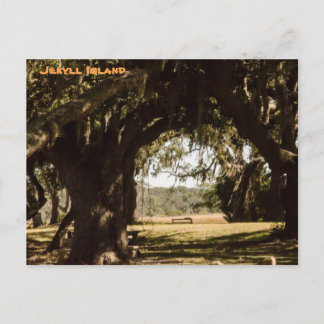 Cartão Postal Caminho da Ilha de Jekyll para o Marsh