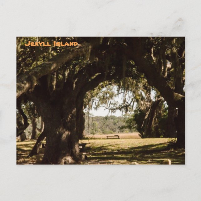 Cartão Postal Caminho da Ilha de Jekyll para o Marsh (Frente)