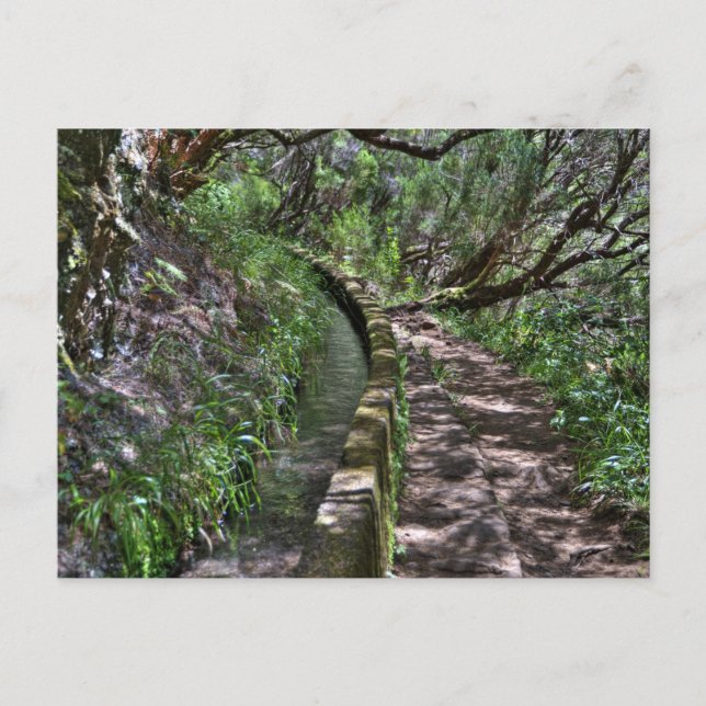 Cartão Postal Caminho da Madeira (Frente)