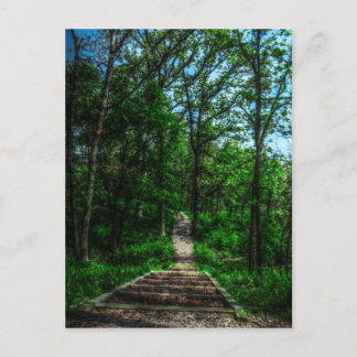 Cartão Postal Caminho da Vida