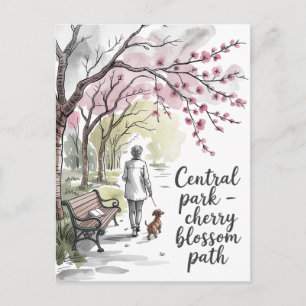 Cartão Postal Caminho das flores de cerejeira do Central Park