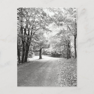 Cartão Postal Caminho de outono