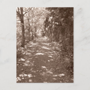 Cartão Postal Caminho do Woods — Sepia