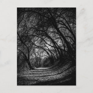 Cartão Postal Caminho Escuro