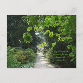 Cartão Postal Caminho na Natureza Árvores Verdes Citam Fotografi