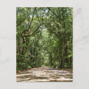 Cartão Postal Caminho para Angel Oak Obrigado