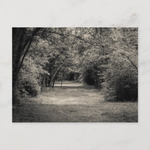 Cartão Postal Caminho para Desconhecido
