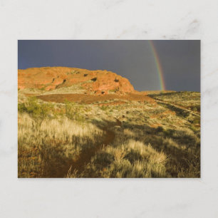 Cartão Postal Caminho simples no Red Cliffs Desert Preserve pert