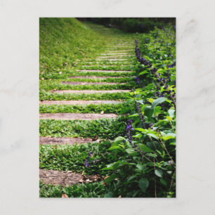 Cartão Postal Caminho Verde