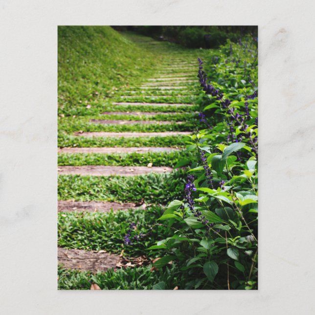 Cartão Postal Caminho Verde (Frente)