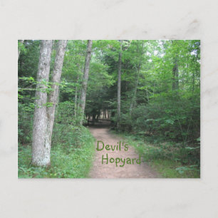 Cartão Postal Caminho Woodsy