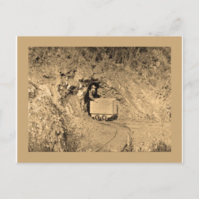 Cartão Postal Camisas de arte Dourada (Frente)