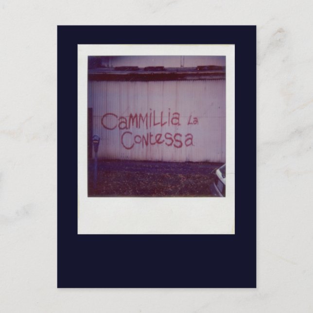 Cartão Postal Cammillia la Contessa grafite em Southbank (Frente)